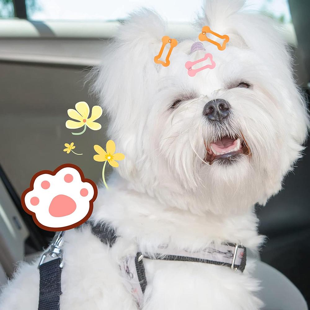 5PCS 2.5cm Bone Bb Clip Pet Hair Accessories Candy Color Dog Cat Hair Clip Mini Rainbow Hair Clip Random Color
5PCS 2.5cm Bone Bb Clip Pet Hair Accessories Candy Color Dog Cat Hair Clip Mini Rainbow Hair Clip Random Color