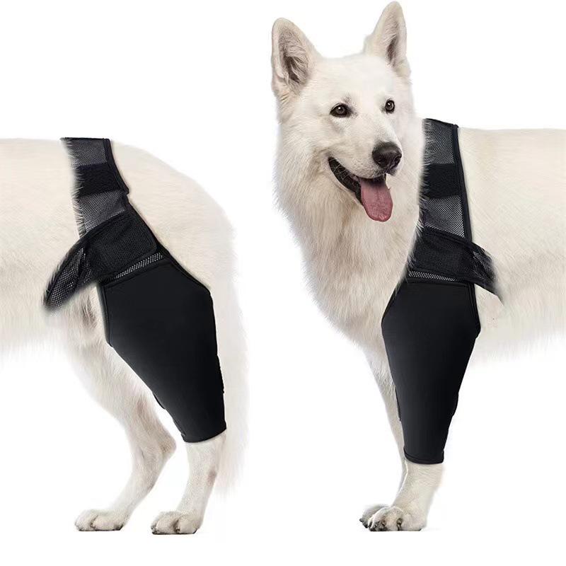 Adjustable Dog Leg Support and Protection with Straps - Knee Pads and Guards for Front and Rear Legs Extra Large чёрный
Adjustable Dog Leg Support and Protection with Straps - Knee Pads and Guards for Front and Rear Legs Extra Large чёрный