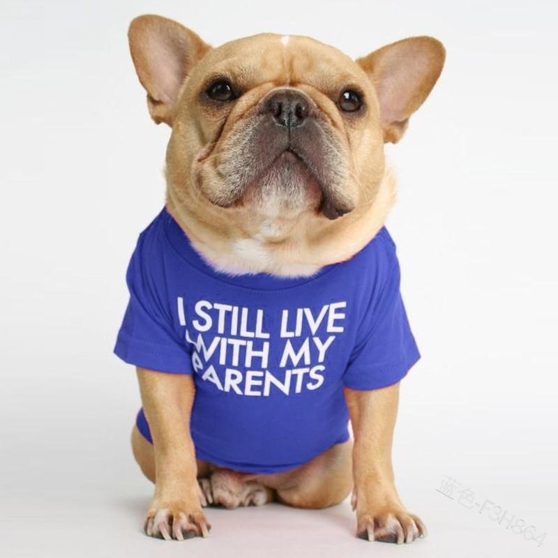 Panda Dog T-shirt for French Bulldogs, Pugs, Shar Peis & Medium Dogs Small
Panda Dog T-shirt for French Bulldogs, Pugs, Shar Peis & Medium Dogs Small