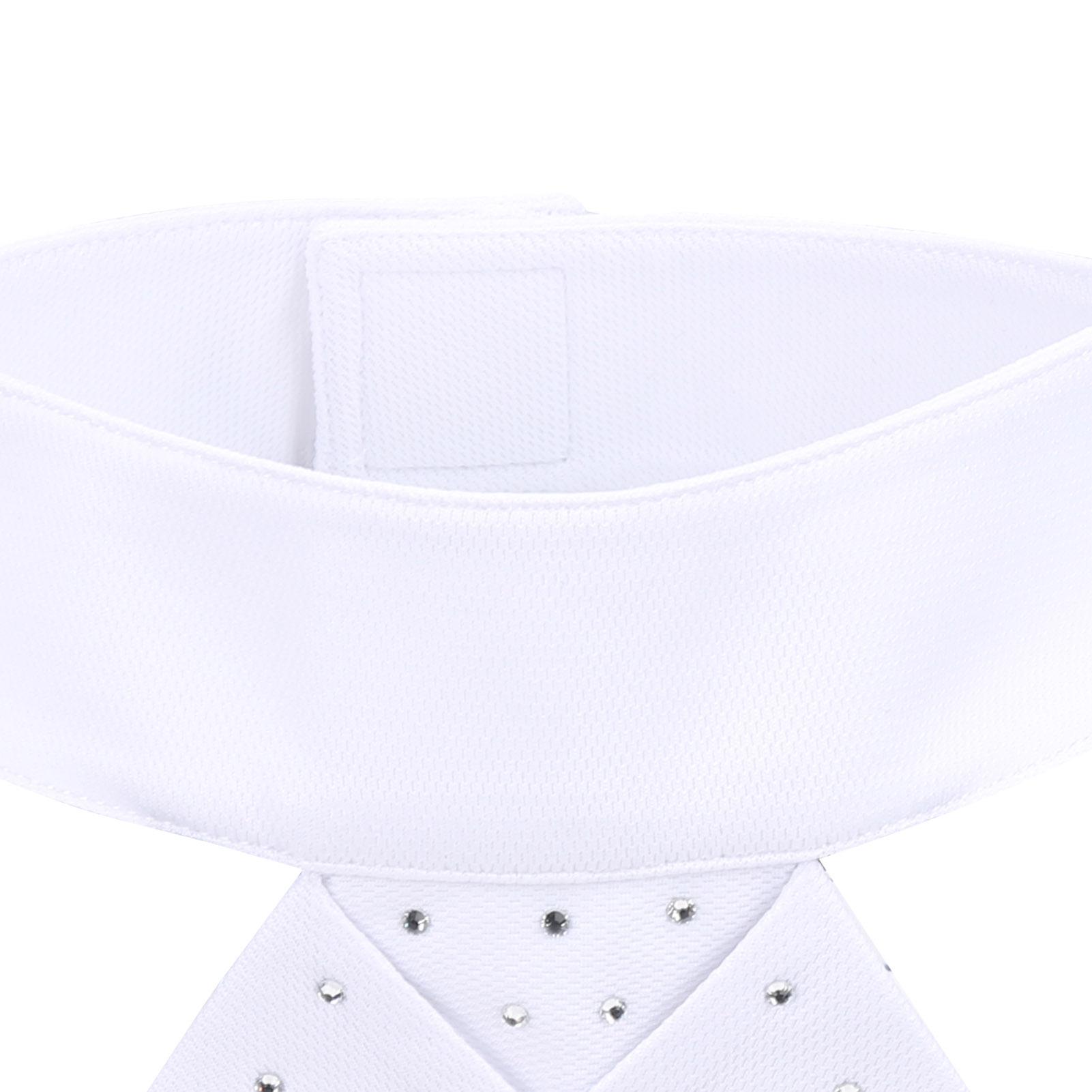 Horse Riding Stock Tie Equestrian Pre Tied Brooch Cotton Adult Necktie Collar Equipment
Horse Riding Stock Tie Equestrian Pre Tied Brooch Cotton Adult Necktie Collar Equipment