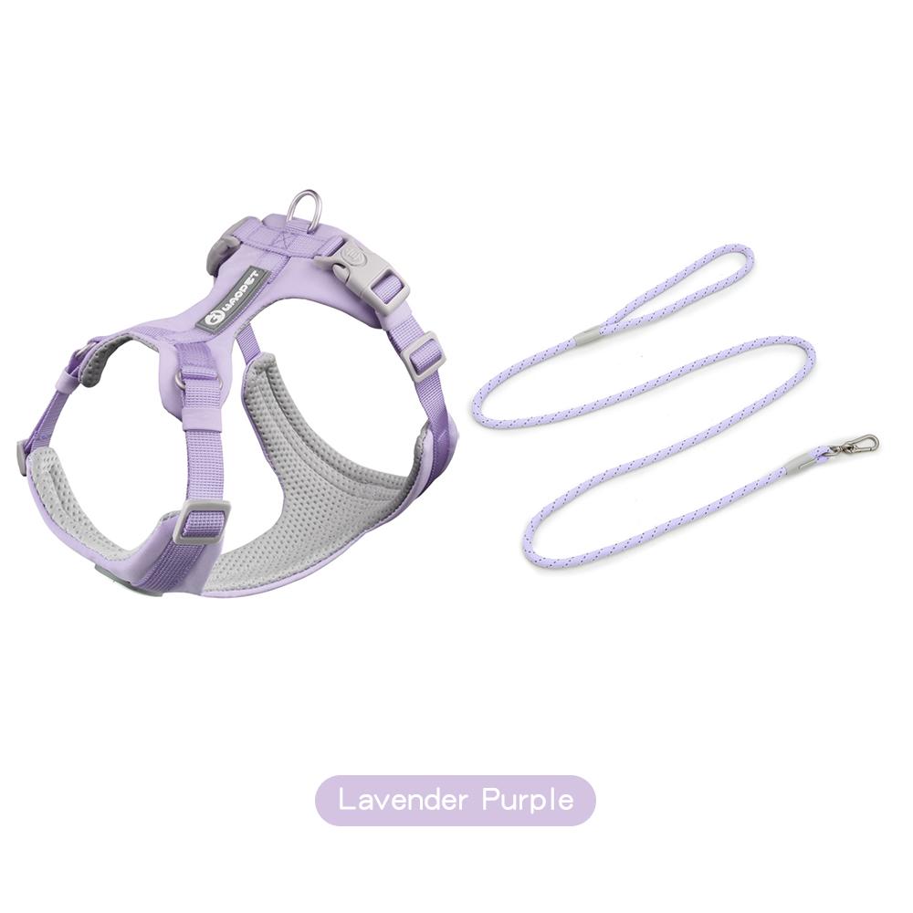 Шлейки для собак, набор с поводками, подарки для домашних животных, собак, кошек, жилет для маленьких, средних и больших собак, набор веревок для дрессировки на открытом воздухе, товары для домашних животных S фиолетовый
Шлейки для собак, набор с поводками, подарки для домашних животных, собак, кошек, жилет для маленьких, средних и больших собак, набор веревок для дрессировки на открытом воздухе, товары для домашних животных S фиолетовый