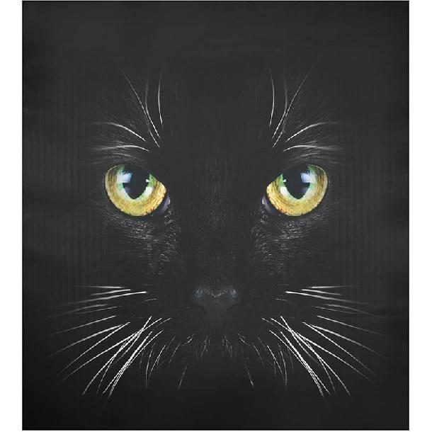 Розовая кошка Магнитная накладка для посудомоечной машины, Магнитная накладка с кошачьей тематикой для посудомоечной машины 23” x 26” Магнитная наклейка для холодильника Pattern 9
Розовая кошка Магнитная накладка для посудомоечной машины, Магнитная накладка с кошачьей тематикой для посудомоечной машины 23” x 26” Магнитная наклейка для холодильника Pattern 9