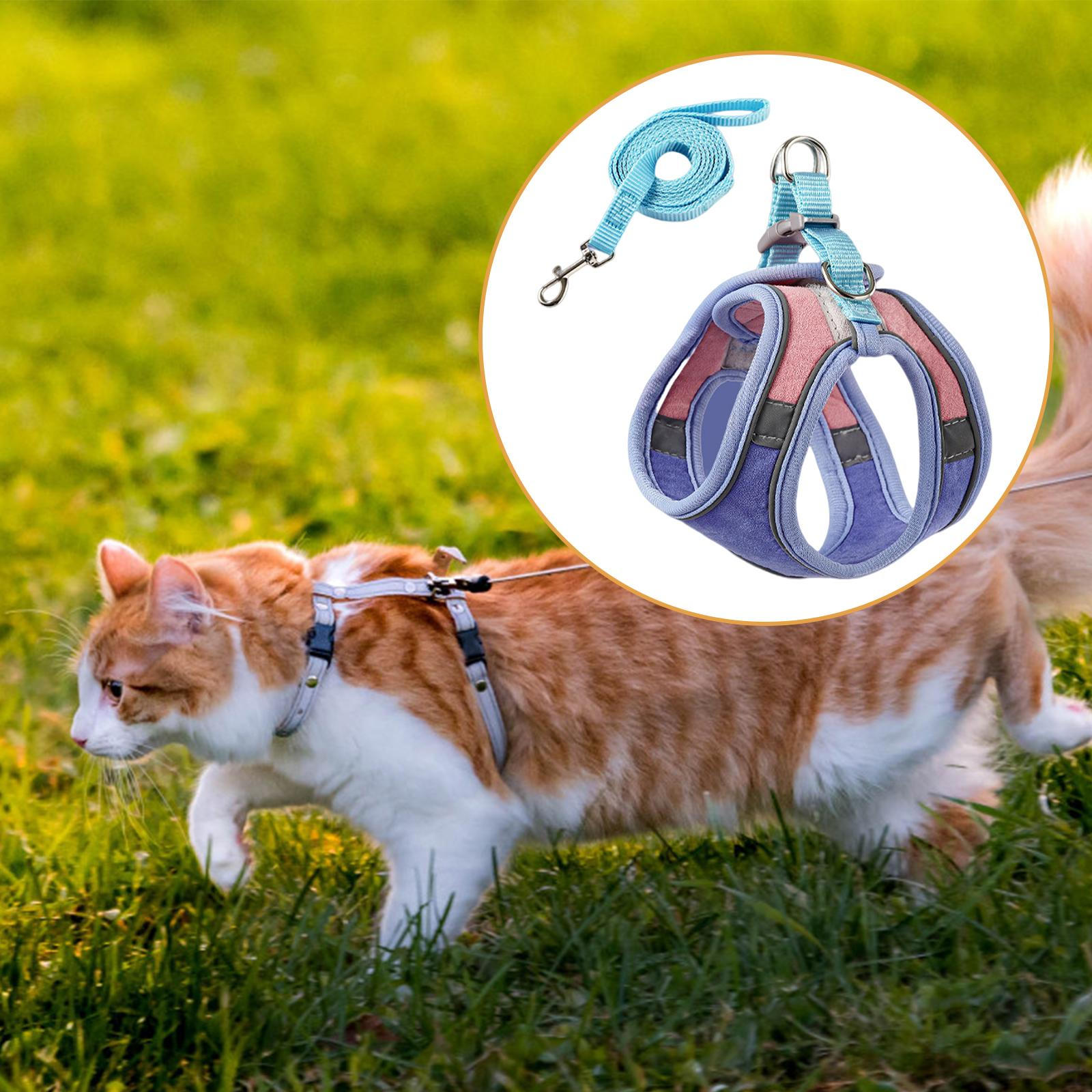 Adjustable Cat Leash And Harness Set for Safe Outdoor Adventures L_Blue and Pink
Adjustable Cat Leash And Harness Set for Safe Outdoor Adventures L_Blue and Pink