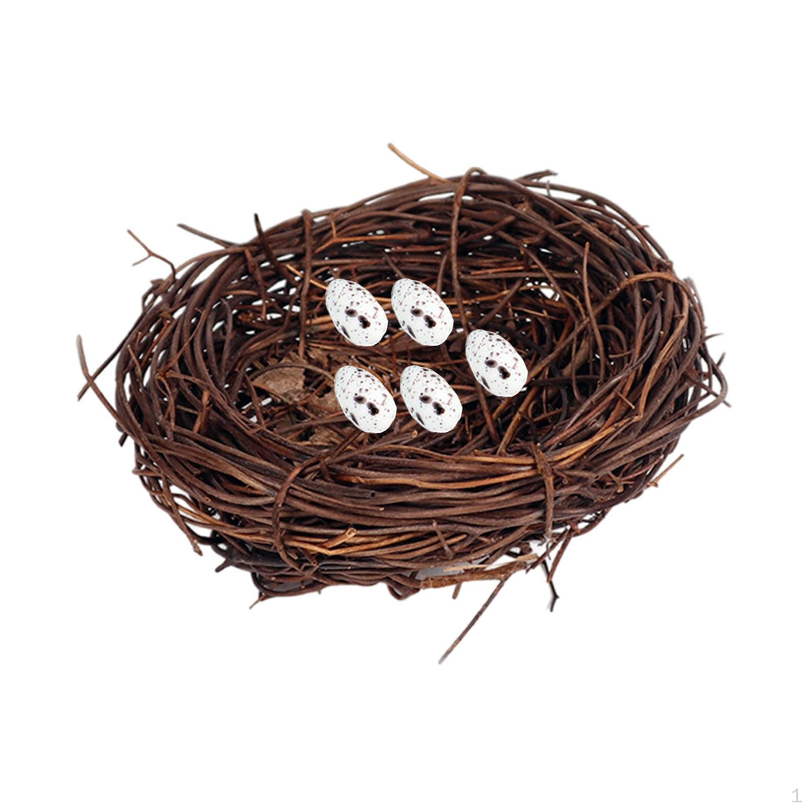 Miniature Parrot Egg Figurine Bonsai Craft Simulation Animal Model Modern for Lawn Office Outside H
Miniature Parrot Egg Figurine Bonsai Craft Simulation Animal Model Modern for Lawn Office Outside H