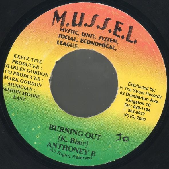7inch Record ANTHONY B - Burning Out NONE M.U.S.S.E.L. 2000 Jamaica Reggae, Ska & Dub Used
7inch Record ANTHONY B - Burning Out NONE M.U.S.S.E.L. 2000 Jamaica Reggae, Ska & Dub Used