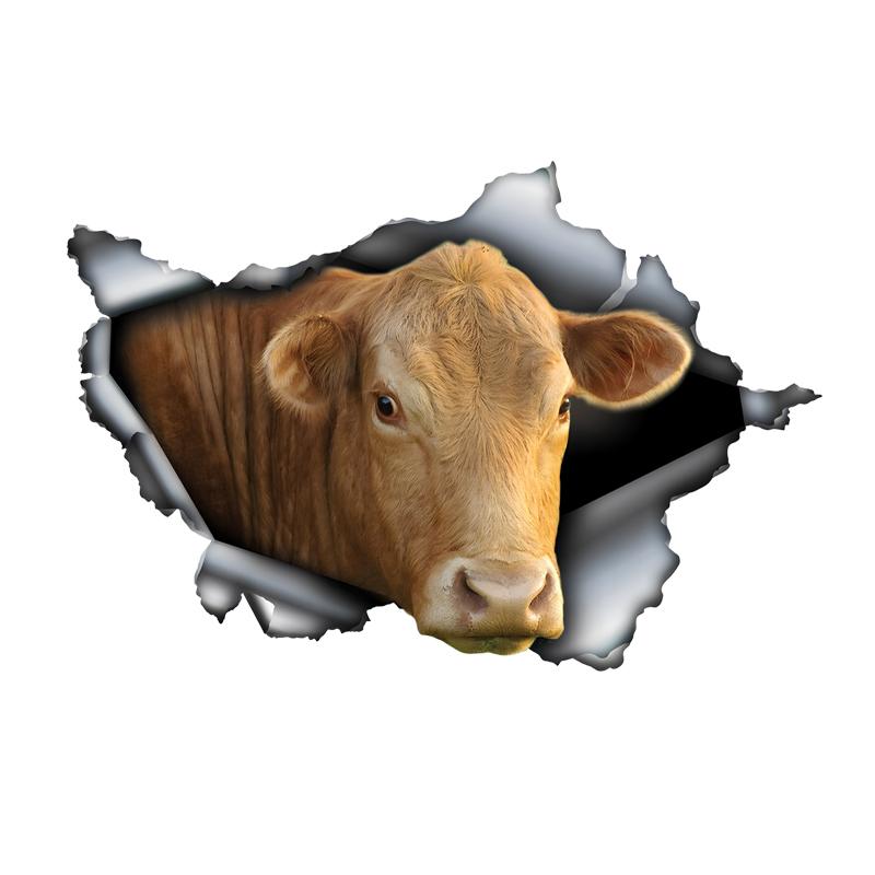 3D Cow Car Sticker, Fun Waterproof Sticker for Cars, Trucks, Motorcycles, Walls, Windows, PVC Material 15cm-Longest Side
3D Cow Car Sticker, Fun Waterproof Sticker for Cars, Trucks, Motorcycles, Walls, Windows, PVC Material 15cm-Longest Side