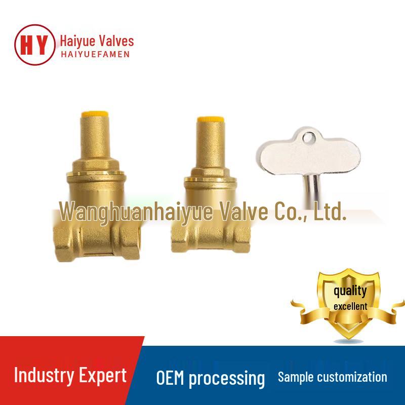 Anti-Theft Brass Gate Valve Lock with Threaded Port, Triangle Lock, 4 Points, 1 Inch (DN50) DN15/Medium
Anti-Theft Brass Gate Valve Lock with Threaded Port, Triangle Lock, 4 Points, 1 Inch (DN50) DN15/Medium