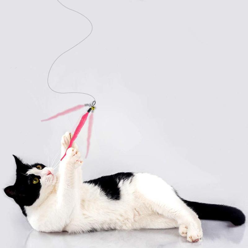 Cat Teaser Stick Caterpillar Сменная голова Забавная кошка Stick Интерактивное обучение Игрушка-палка
Cat Teaser Stick Caterpillar Сменная голова Забавная кошка Stick Интерактивное обучение Игрушка-палка