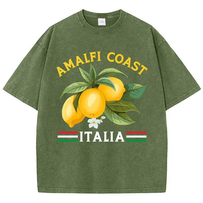Amalfi Coast Italia Orange Prints Washed TShirt Women Cotton Tops ONeck Comfortable Distressed T Shirts Summer Womans Clothes S
Amalfi Coast Italia Orange Prints Washed TShirt Women Cotton Tops ONeck Comfortable Distressed T Shirts Summer Womans Clothes S