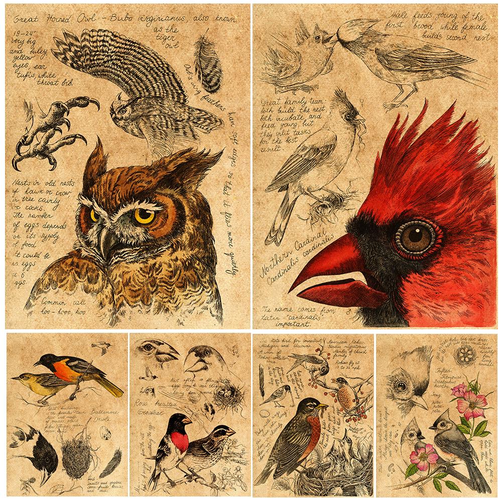 Chickeadees & Owls, Атлас знаний о птицах, Ретро настенная живопись маслом, эскиз, художественный постер с птицами
Chickeadees & Owls, Атлас знаний о птицах, Ретро настенная живопись маслом, эскиз, художественный постер с птицами