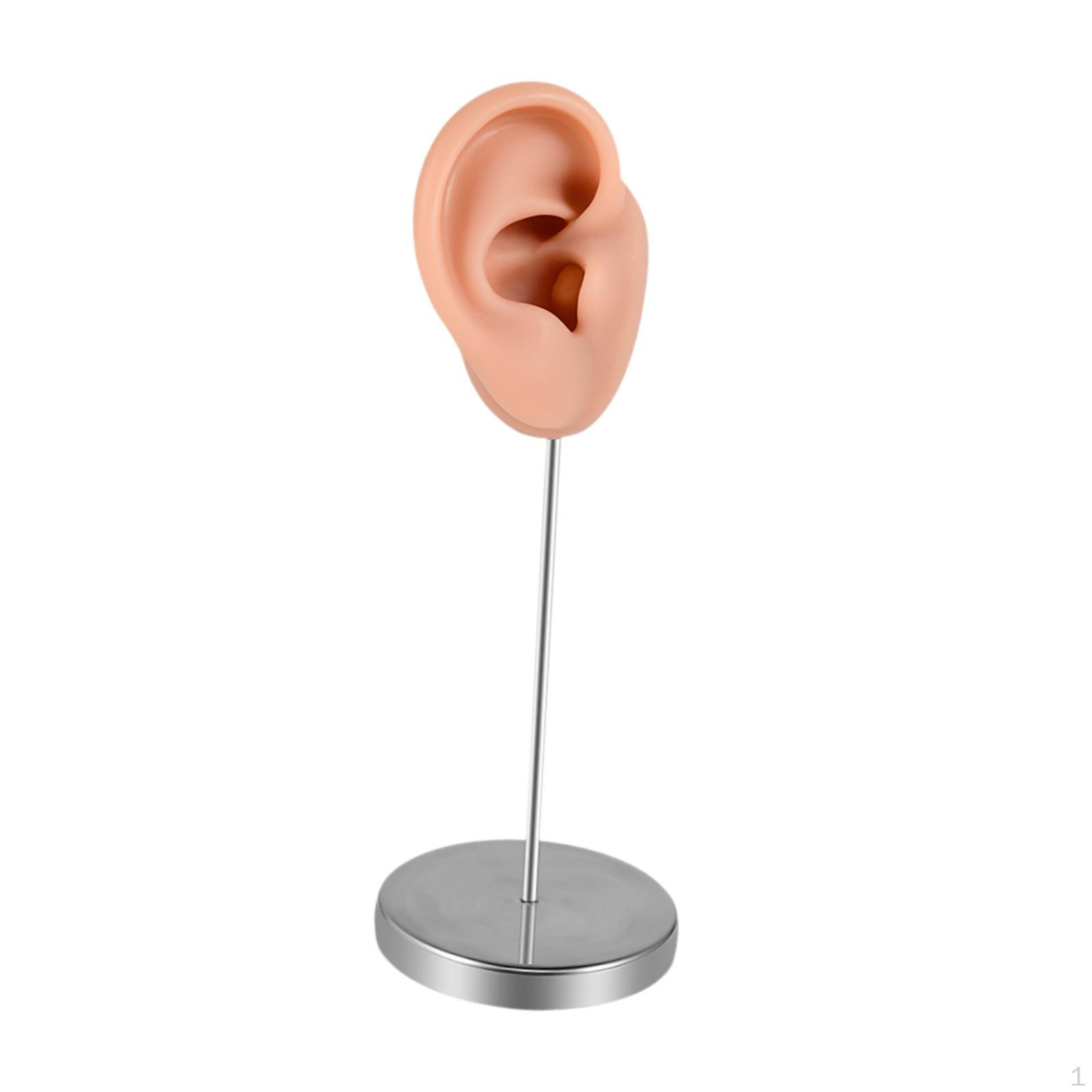 Силиконовая модель уха, подставка для сережек, манекен, стойка для украшений для девочек на день рождения RIght
Силиконовая модель уха, подставка для сережек, манекен, стойка для украшений для девочек на день рождения RIght