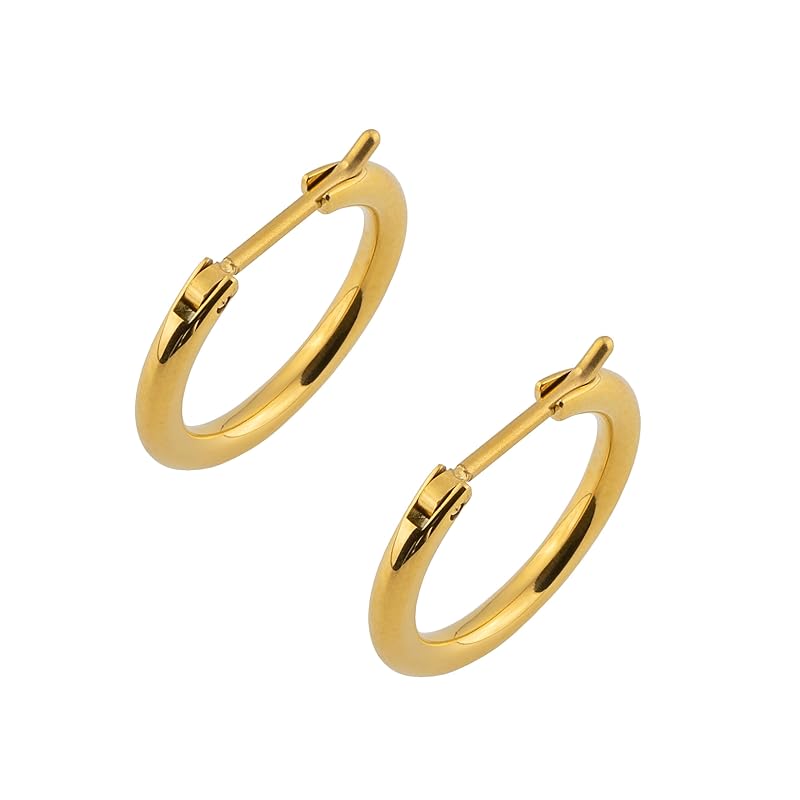Alavel hoop earrings breaker type pipe M size 17mm 20G surgical stainless steel SUS316L ladies PUPS017 (gold)
Alavel hoop earrings breaker type pipe M size 17mm 20G surgical stainless steel SUS316L ladies PUPS017 (gold)
