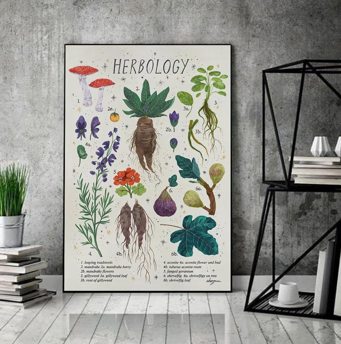 Plant Magic Poster Herbology Plant Poster Home Decor Wall Art Love Gardening Gift For Home Coffee Wall Decoration Retro Bar 20x30cm(7.8x11.8inch)
Plant Magic Poster Herbology Plant Poster Home Decor Wall Art Love Gardening Gift For Home Coffee Wall Decoration Retro Bar 20x30cm(7.8x11.8inch)