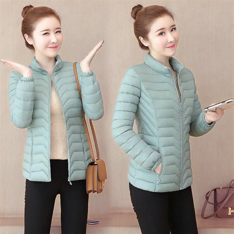 Зимняя женская короткая куртка с хлопковой подкладкой, легкая куртка с хлопковой подкладкой, приталенная куртка с подкладкой S зелёный
Зимняя женская короткая куртка с хлопковой подкладкой, легкая куртка с хлопковой подкладкой, приталенная куртка с подкладкой S зелёный