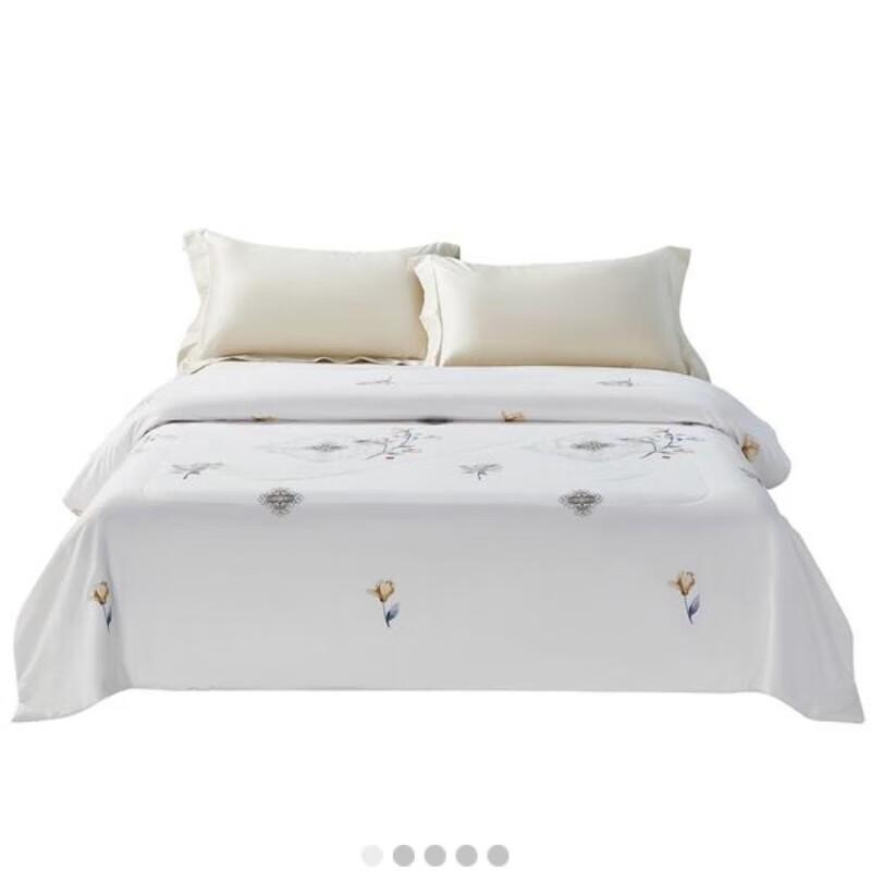 Taihu Snow Mulberry Silk Quilt
Taihu Snow Mulberry Silk Quilt