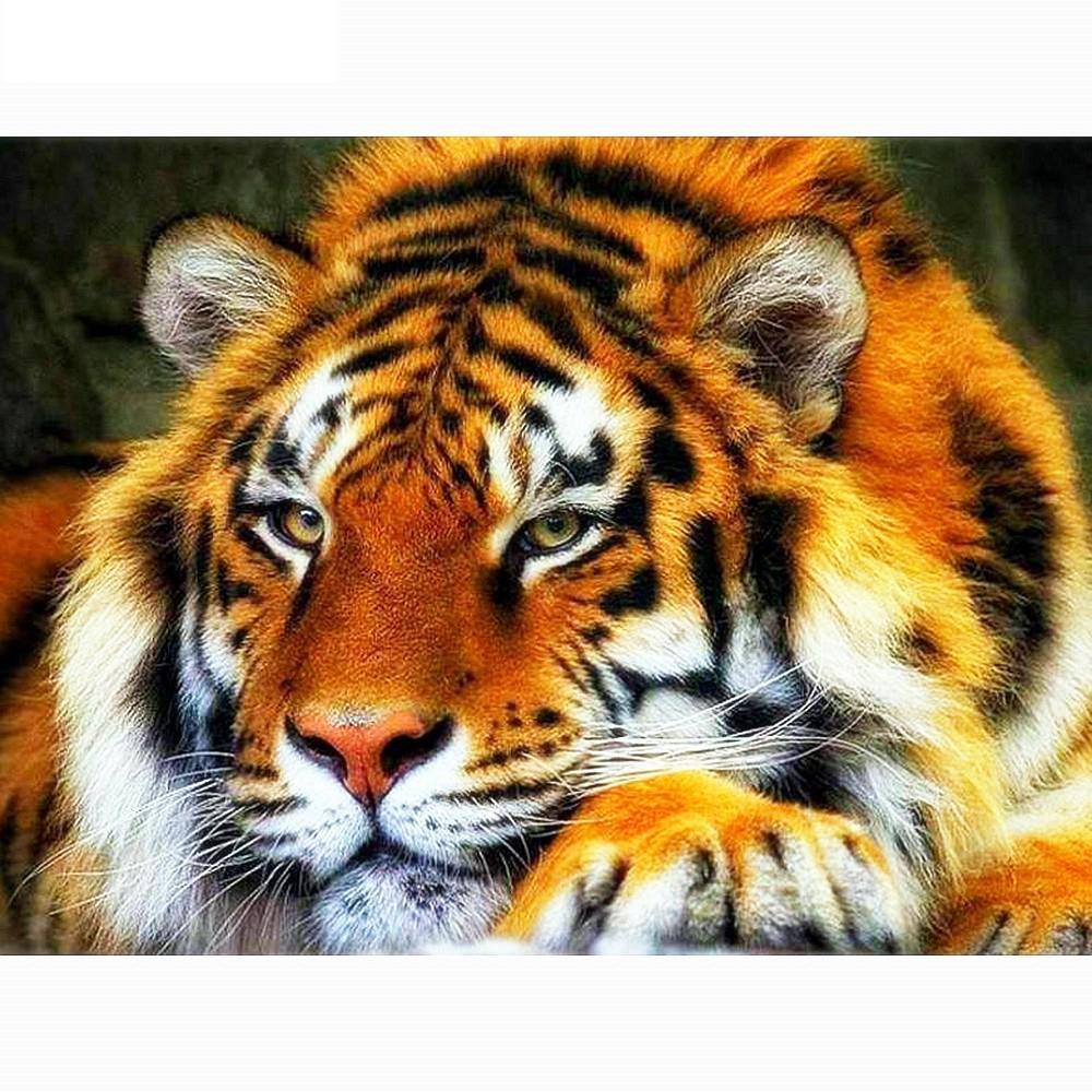 Алмазная вышивка Тигр Diy Алмазная картина Полная круглая картина с изображением животных из горного хрусталя 20X30CM