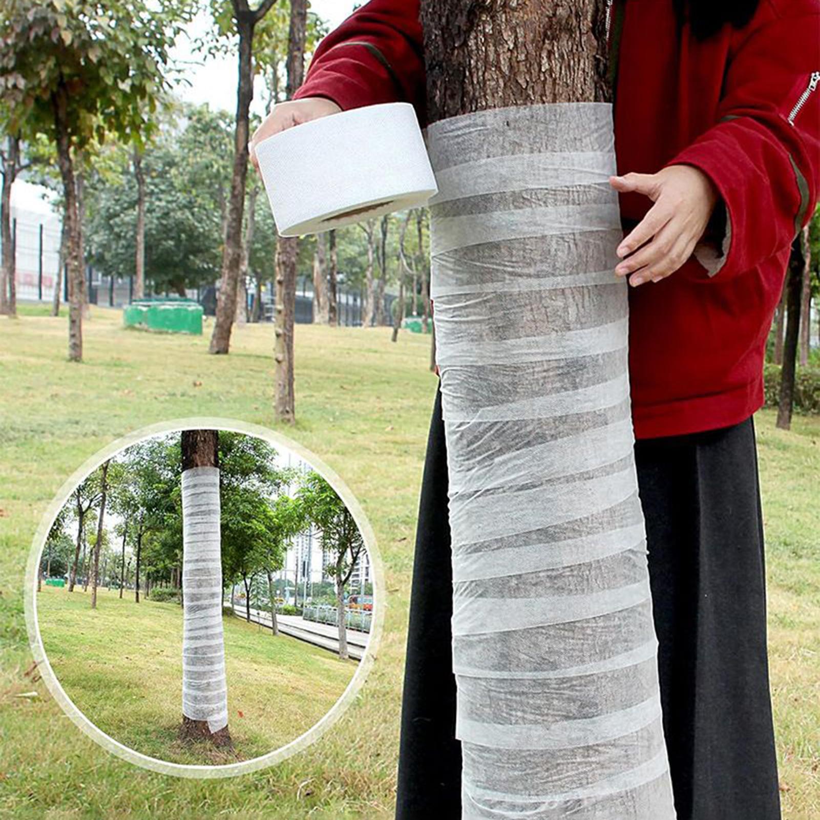 1Pcs Tree Trunk Protector Plastic Spiral Tree Trunk Protector Wrap Tree Bark Protector Tube to Protect Saplings from Animals China Mainland
1Pcs Tree Trunk Protector Plastic Spiral Tree Trunk Protector Wrap Tree Bark Protector Tube to Protect Saplings from Animals China Mainland