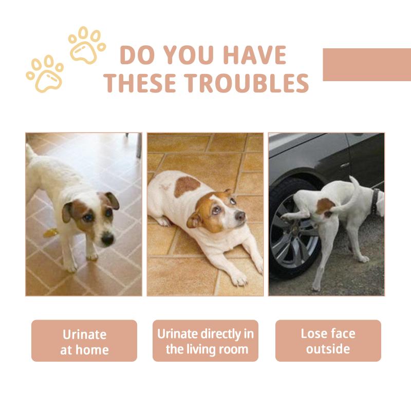 Jaysuing Pet Defecation Inducer Dog Puppy Training Spray Cats Kitten Poops Stool Designated Location Behavior Correction 1pcs
Jaysuing Pet Defecation Inducer Dog Puppy Training Spray Cats Kitten Poops Stool Designated Location Behavior Correction 1pcs