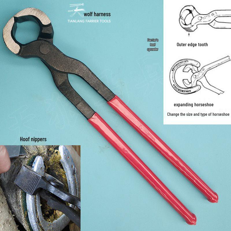 Tianlang Tool Steel Flat-Mouth Hoof Trimming Nippers
Tianlang Tool Steel Flat-Mouth Hoof Trimming Nippers