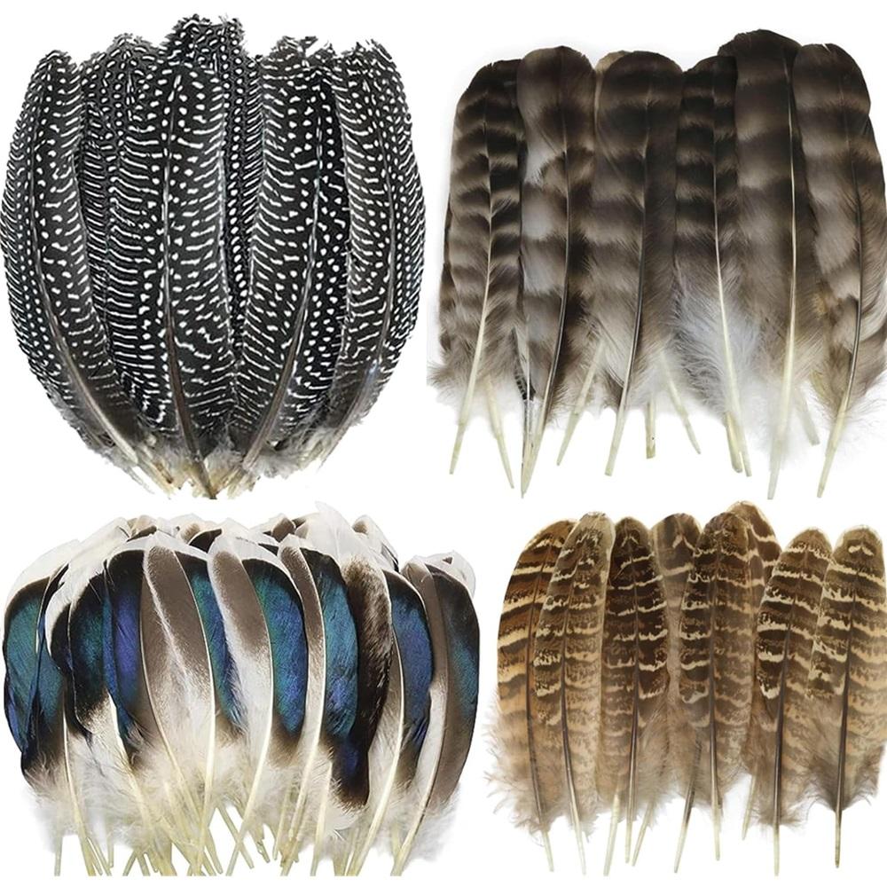 40 pieces of natural turkey feathers, pheasant feathers, spotted feathers, and duck feathers, 4 styles of feathers
40 pieces of natural turkey feathers, pheasant feathers, spotted feathers, and duck feathers, 4 styles of feathers