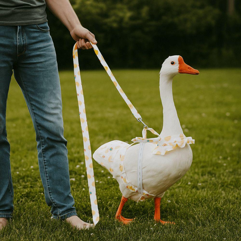 Reusable Pet Duck Diaper Wearable Chicken Diapers Goose Breast Strap Poultry Costume S-1SET
Reusable Pet Duck Diaper Wearable Chicken Diapers Goose Breast Strap Poultry Costume S-1SET