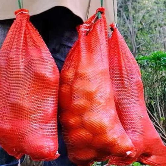 10 шт. сетчатая сумка, многоразовые сетчатые мешки для лука с прочным шнурком, дышащая сетка для хранения овощей для дома красный
10 шт. сетчатая сумка, многоразовые сетчатые мешки для лука с прочным шнурком, дышащая сетка для хранения овощей для дома красный