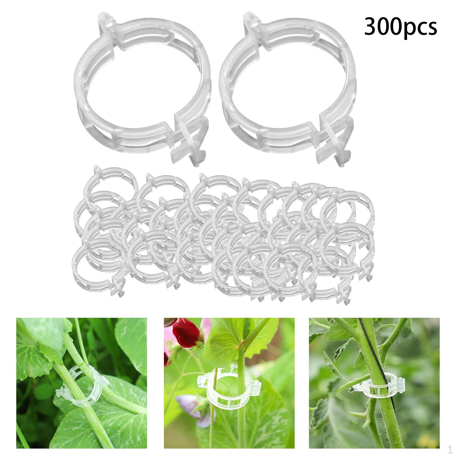 Прищепки для выращивания томатов и огурцов 300pcs
Прищепки для выращивания томатов и огурцов 300pcs