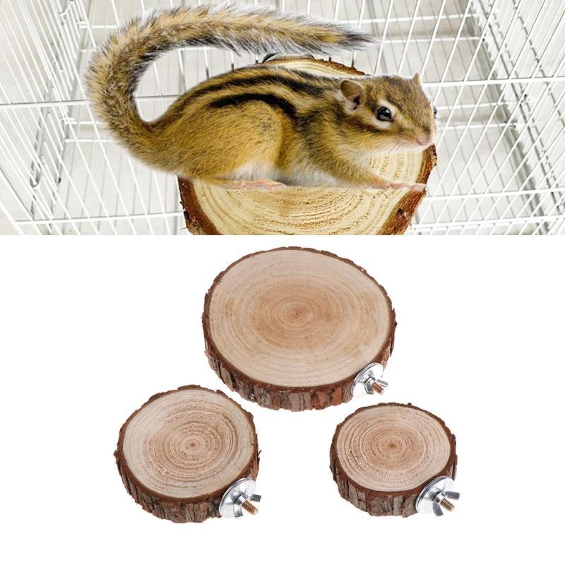 Small Animal Wooden for Play Platform for Rats Ferrets Dwarf Rabbits Habitats Cave Bunny Stand Activity Platform темного кольору хакі
Small Animal Wooden for Play Platform for Rats Ferrets Dwarf Rabbits Habitats Cave Bunny Stand Activity Platform темного кольору хакі