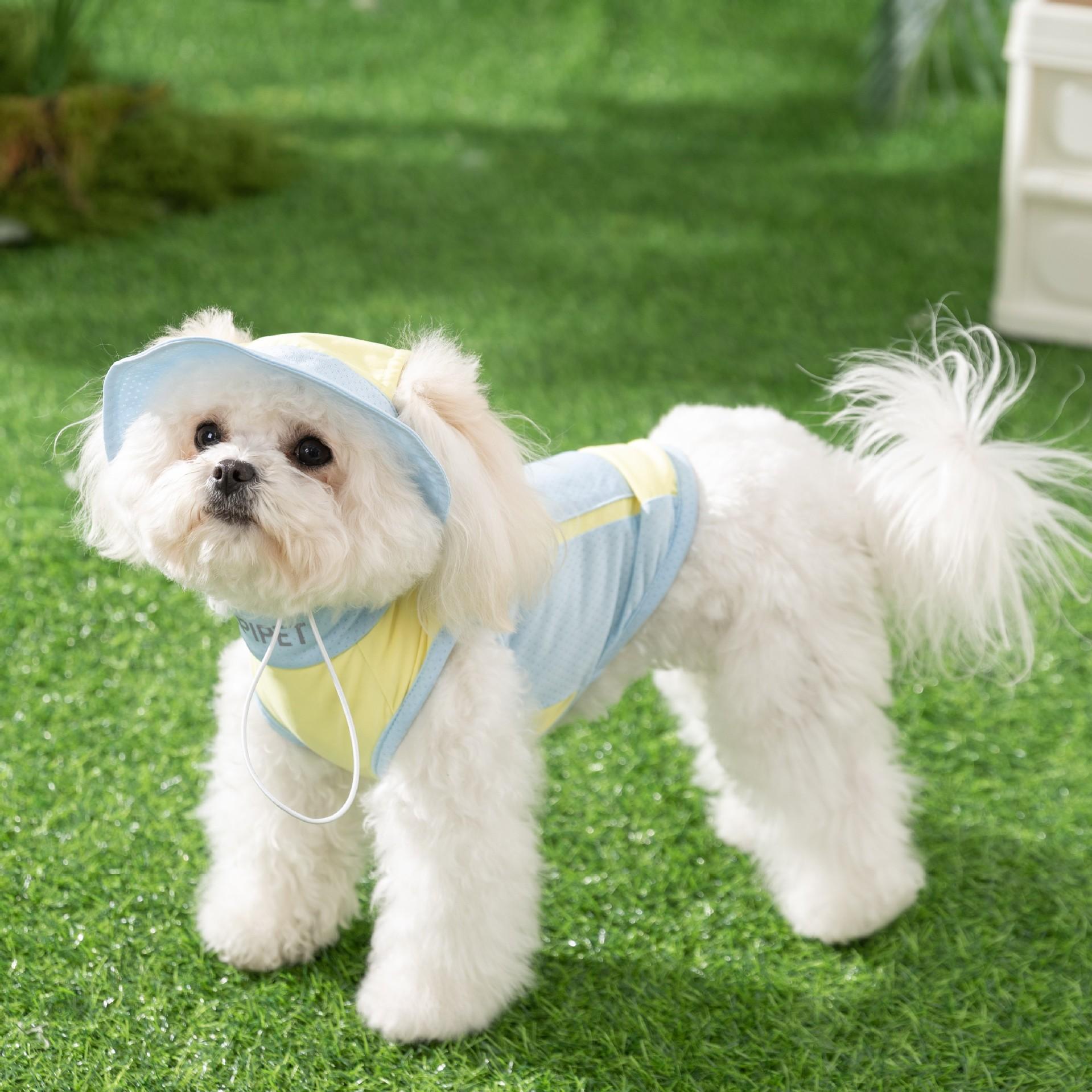 Spring and summer thin simple wind medium and small dog Bichon teddy cool coat summer cooling pet puppy dog vest XXL (recommended weight 15-10kg)
Spring and summer thin simple wind medium and small dog Bichon teddy cool coat summer cooling pet puppy dog vest XXL (recommended weight 15-10kg)