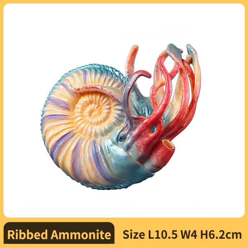 Nautilus ammonoid Figurine Plastic Model Figure - Enjoyable Instructive Enjoy Toy designed for Boys Girls and Children Ages 18M+Nautilus
Nautilus ammonoid Figurine Plastic Model Figure - Enjoyable Instructive Enjoy Toy designed for Boys Girls and Children Ages 18M+Nautilus