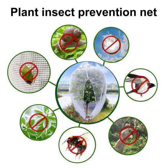 Garden Plant Mesh Cover Insect-proof Full Protection Drawstring And Zipper Closure Anti Birds Cicadas Fruit Tree Blueberry Bushes Pest Barrier Bag
Garden Plant Mesh Cover Insect-proof Full Protection Drawstring And Zipper Closure Anti Birds Cicadas Fruit Tree Blueberry Bushes Pest Barrier Bag