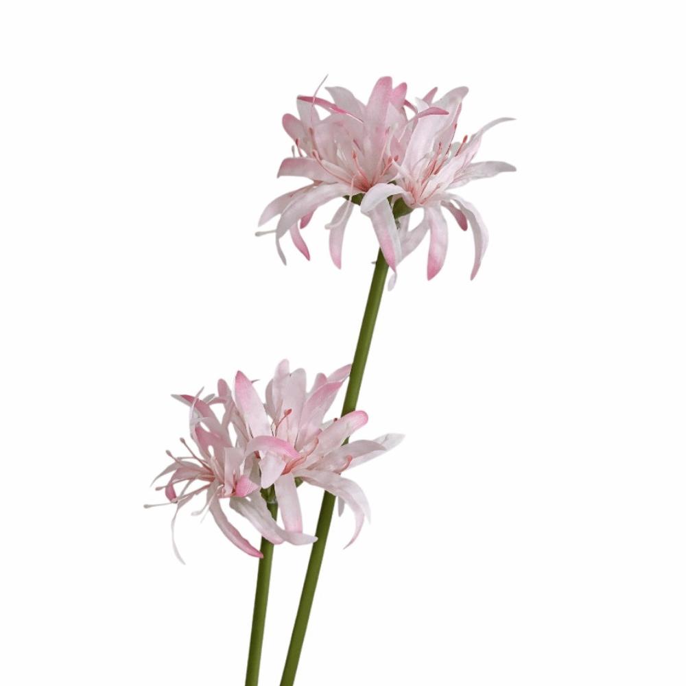 2 Heads Simulation Lycoris Flower Real Touch Simulation Equinox Flower Living Room Decoration розовый
2 Heads Simulation Lycoris Flower Real Touch Simulation Equinox Flower Living Room Decoration розовый