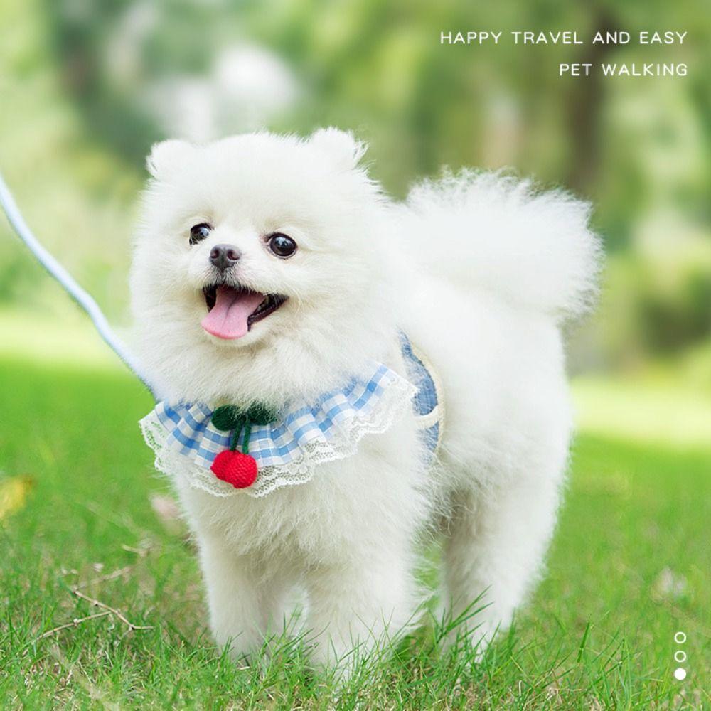 Cartoon Cat Dog Harness Go Out To Prevent Break Walk Dog Rope Cute Pet Vest Leash Pet
Cartoon Cat Dog Harness Go Out To Prevent Break Walk Dog Rope Cute Pet Vest Leash Pet