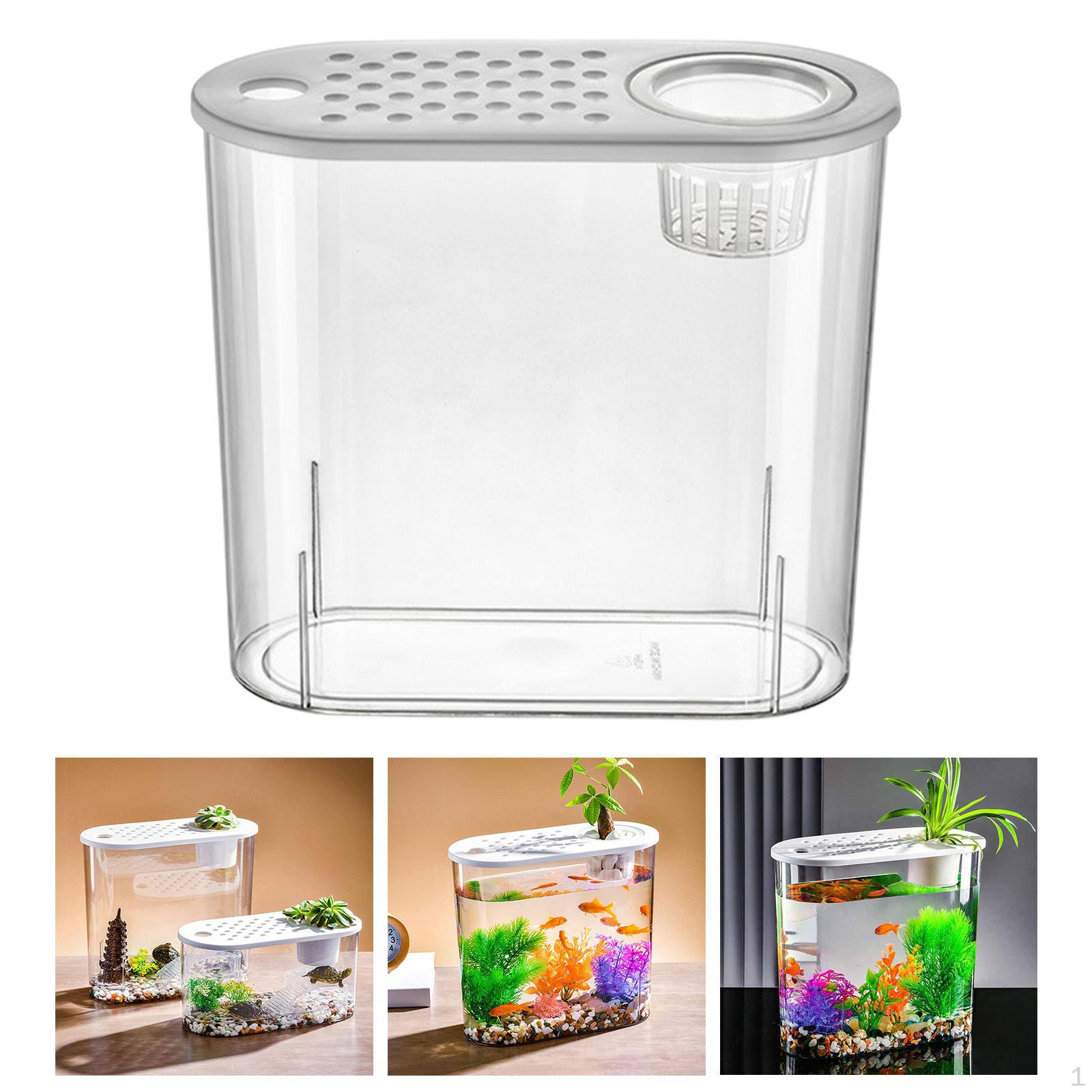 Настольный аквариумный контейнер Aquascape, легкая банка для хранения, террариум, мини-аквариум для дома, Terrapin Black Lid
Настольный аквариумный контейнер Aquascape, легкая банка для хранения, террариум, мини-аквариум для дома, Terrapin Black Lid