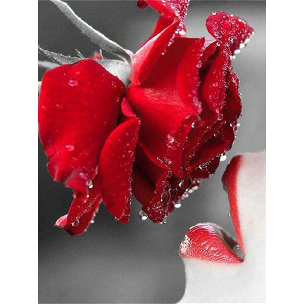 5D алмазная картина цветок роза череп искусство алмазная вышивка черно-белая картина DIY вышивка крестом набор для украшения дома Round 30x40cm
5D алмазная картина цветок роза череп искусство алмазная вышивка черно-белая картина DIY вышивка крестом набор для украшения дома Round 30x40cm