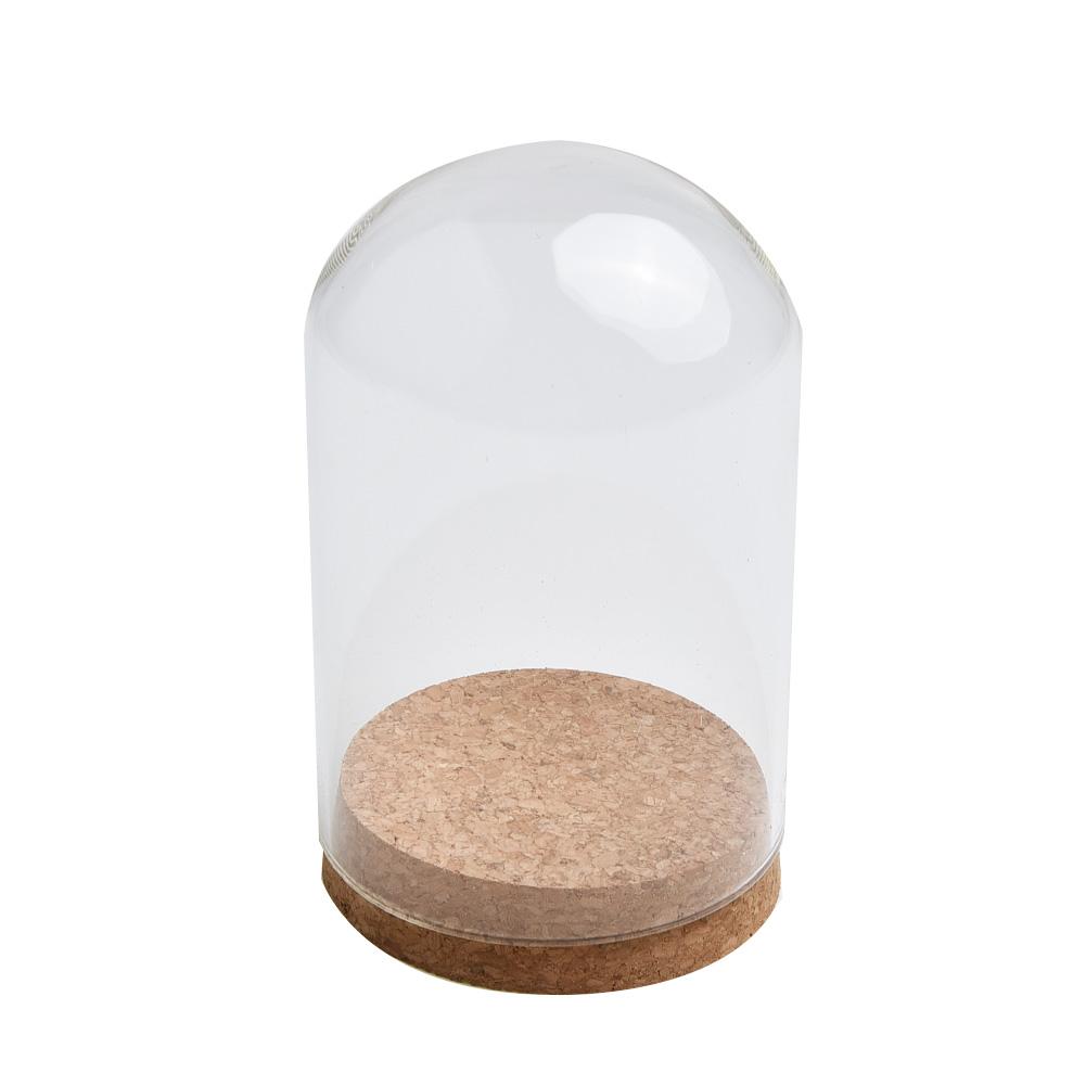Glass Dome Cover For Flower Succulent Plants DIY Dustproof Covers Case Transparent Bottle Glass Vase Desktop Home Decor Supplies 810cm
Glass Dome Cover For Flower Succulent Plants DIY Dustproof Covers Case Transparent Bottle Glass Vase Desktop Home Decor Supplies 810cm
