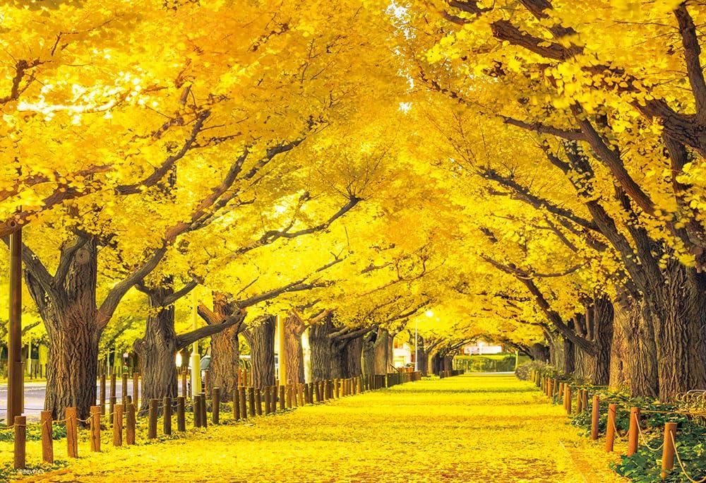Beverly 300-Piece Jigsaw Puzzle: Ginkgo Trees in Jingu Gaien (26 x 38 cm) - Made in Japan
Beverly 300-Piece Jigsaw Puzzle: Ginkgo Trees in Jingu Gaien (26 x 38 cm) - Made in Japan