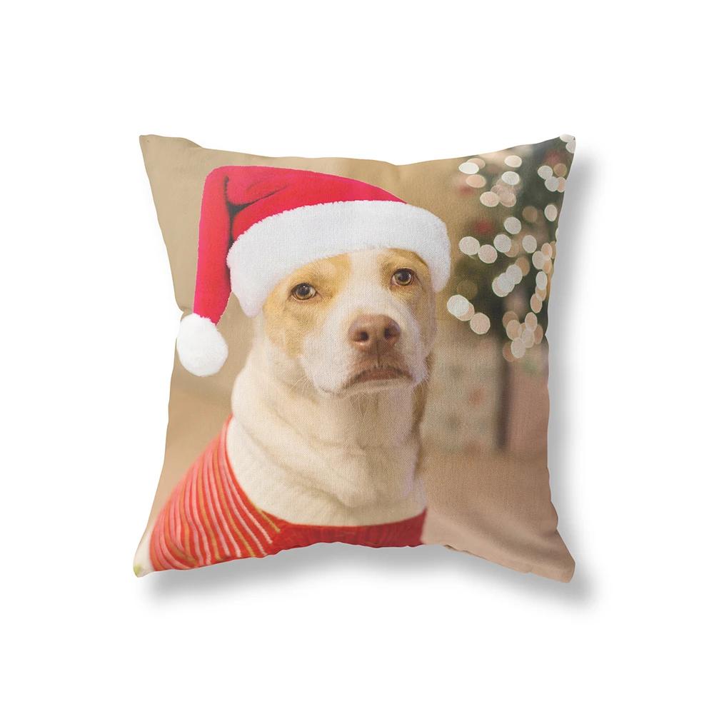 Merry Christmas Cute Cat Dog Print Pattern Cushion Cover Home Living Room Sofa Decoration Square Pillow 30x30cm
Merry Christmas Cute Cat Dog Print Pattern Cushion Cover Home Living Room Sofa Decoration Square Pillow 30x30cm