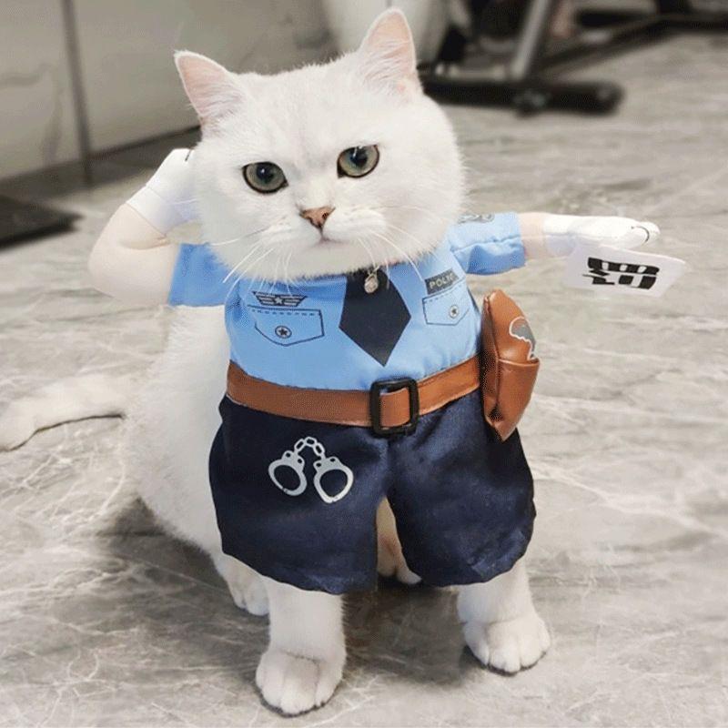 Halloween Pet Costume: Funny Cat & Dog Transformation Outfit - All-Season Humorous Photo Prop M for 6-9 lbs
Halloween Pet Costume: Funny Cat & Dog Transformation Outfit - All-Season Humorous Photo Prop M for 6-9 lbs