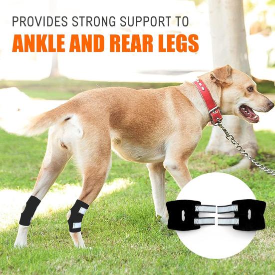 Dog Canine Rear Leg Hock Joint Brace Compression Wrap Dog Leg Sleeve for ACL CCL Injury Sprain Protection Arthritis Relief XS Right Foot
Dog Canine Rear Leg Hock Joint Brace Compression Wrap Dog Leg Sleeve for ACL CCL Injury Sprain Protection Arthritis Relief XS Right Foot