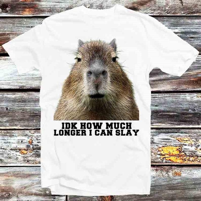 230 Gsm 100% Cotton Idk How Much Longer I Can Slay Capybara Sarcastic Dank Meme T Shirt Vintage Retro Cool Gift Unisex Cartoon Anime Top Tee B798 3XL білий
230 Gsm 100% Cotton Idk How Much Longer I Can Slay Capybara Sarcastic Dank Meme T Shirt Vintage Retro Cool Gift Unisex Cartoon Anime Top Tee B798 3XL білий