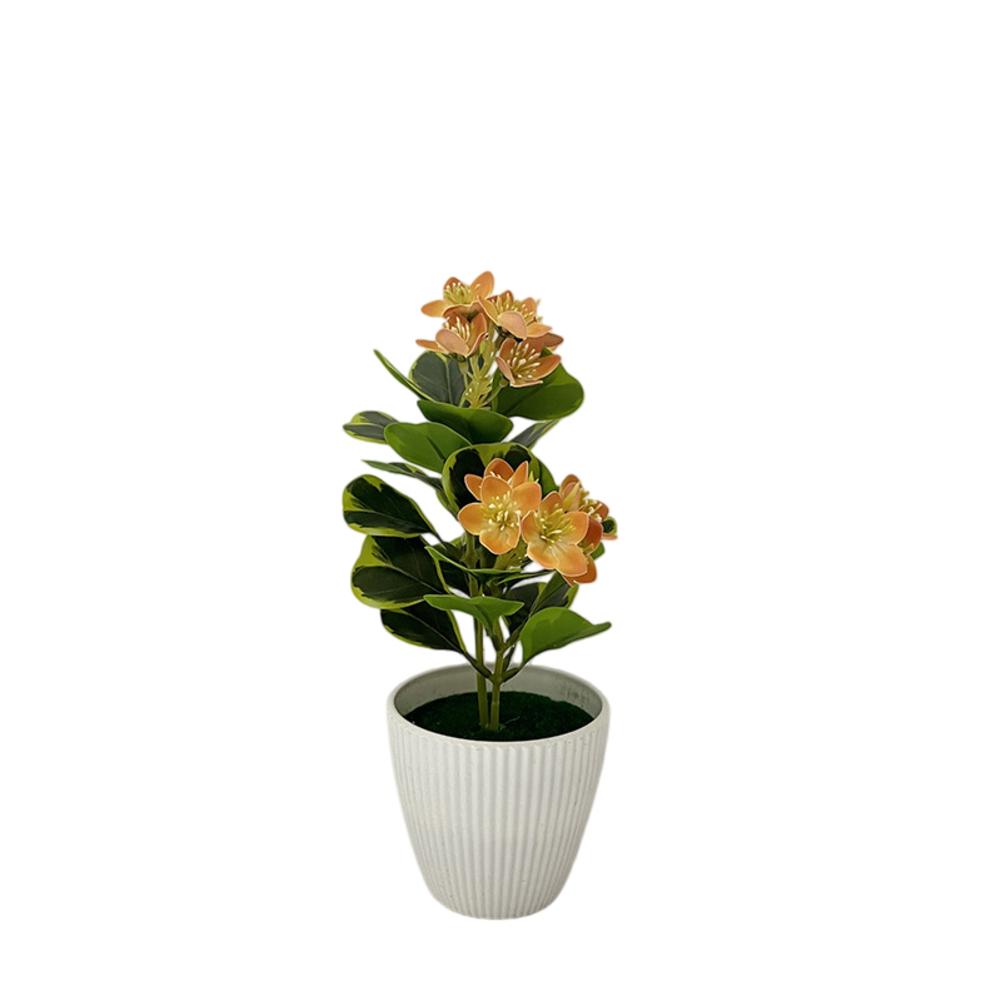 Indoor Decorative Potted Plants for Enhancing Environments Including Workspaces Retail Stores and Hospitality Venues жовтий
Indoor Decorative Potted Plants for Enhancing Environments Including Workspaces Retail Stores and Hospitality Venues жовтий