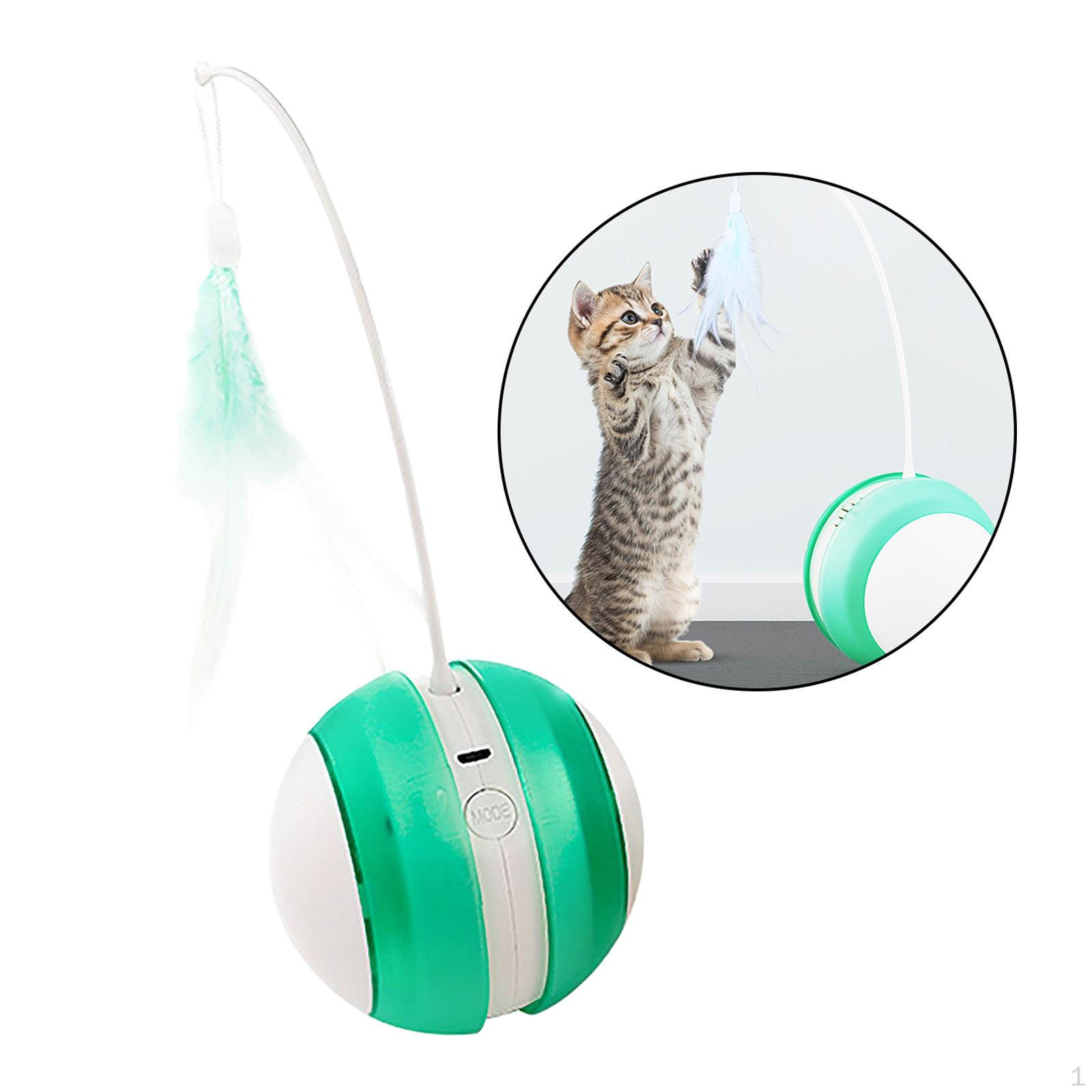 Automatic Toy Electric Cat Kitten Roller Interactive Toys with Teaser Ball зелений
Automatic Toy Electric Cat Kitten Roller Interactive Toys with Teaser Ball зелений