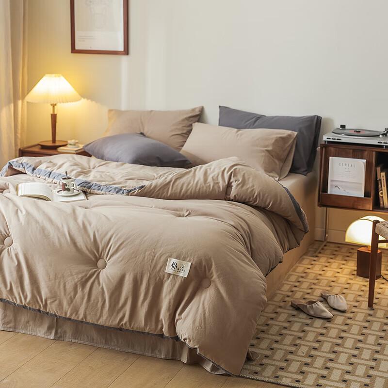 Manya Ju Washed Polyester All-Season Comforter
Manya Ju Washed Polyester All-Season Comforter