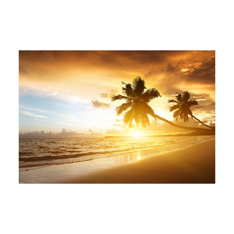 Beach Sunset Clouds Coco Nut Tree Canvas Painting Palm Tree Posters and Prints Sunrise Seascape Home Room Decor Unframed 30x45cm
Beach Sunset Clouds Coco Nut Tree Canvas Painting Palm Tree Posters and Prints Sunrise Seascape Home Room Decor Unframed 30x45cm
