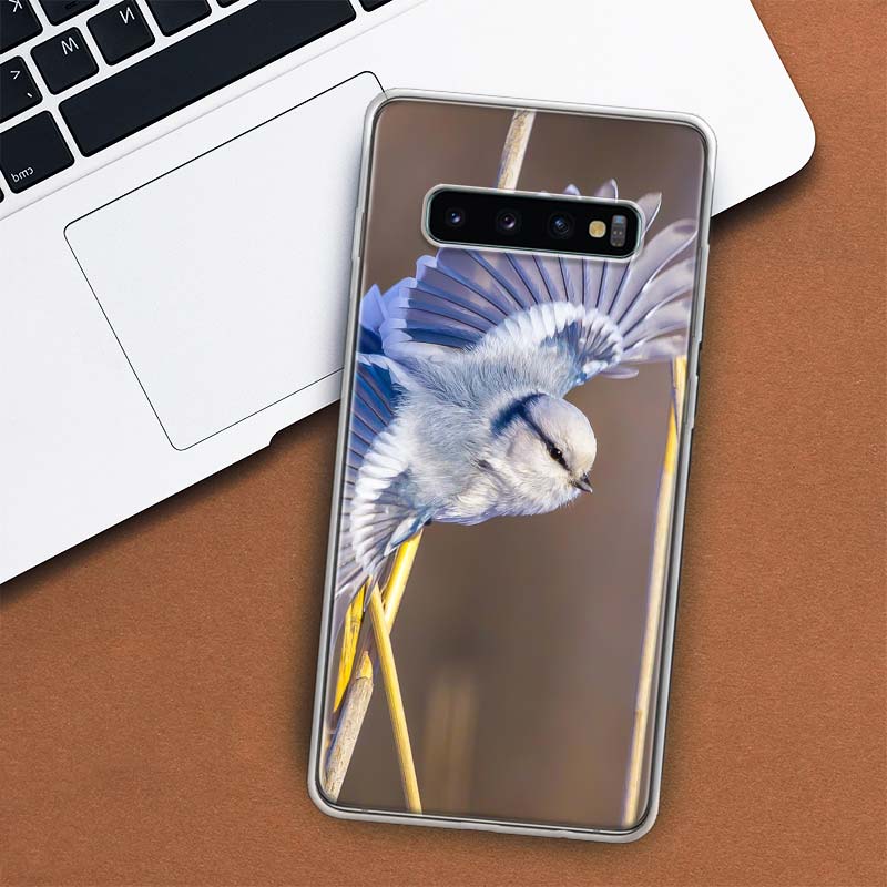 Чехол для телефона «Сорока с птицей» для Samsung Galaxy M21 M12 M31S M32 M51 M52 Note 20 Ulte 10 Plus 9 8 J4 J6 + J8 M11 F52 F62 Samsung J8 2018
Чехол для телефона «Сорока с птицей» для Samsung Galaxy M21 M12 M31S M32 M51 M52 Note 20 Ulte 10 Plus 9 8 J4 J6 + J8 M11 F52 F62 Samsung J8 2018