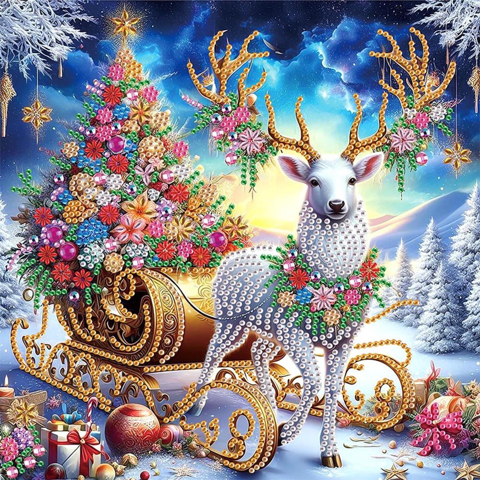 5D DIY Partial Special Shaped Drill Diamond Painting Kit Xmas House Decor30x30cm
5D DIY Partial Special Shaped Drill Diamond Painting Kit Xmas House Decor30x30cm