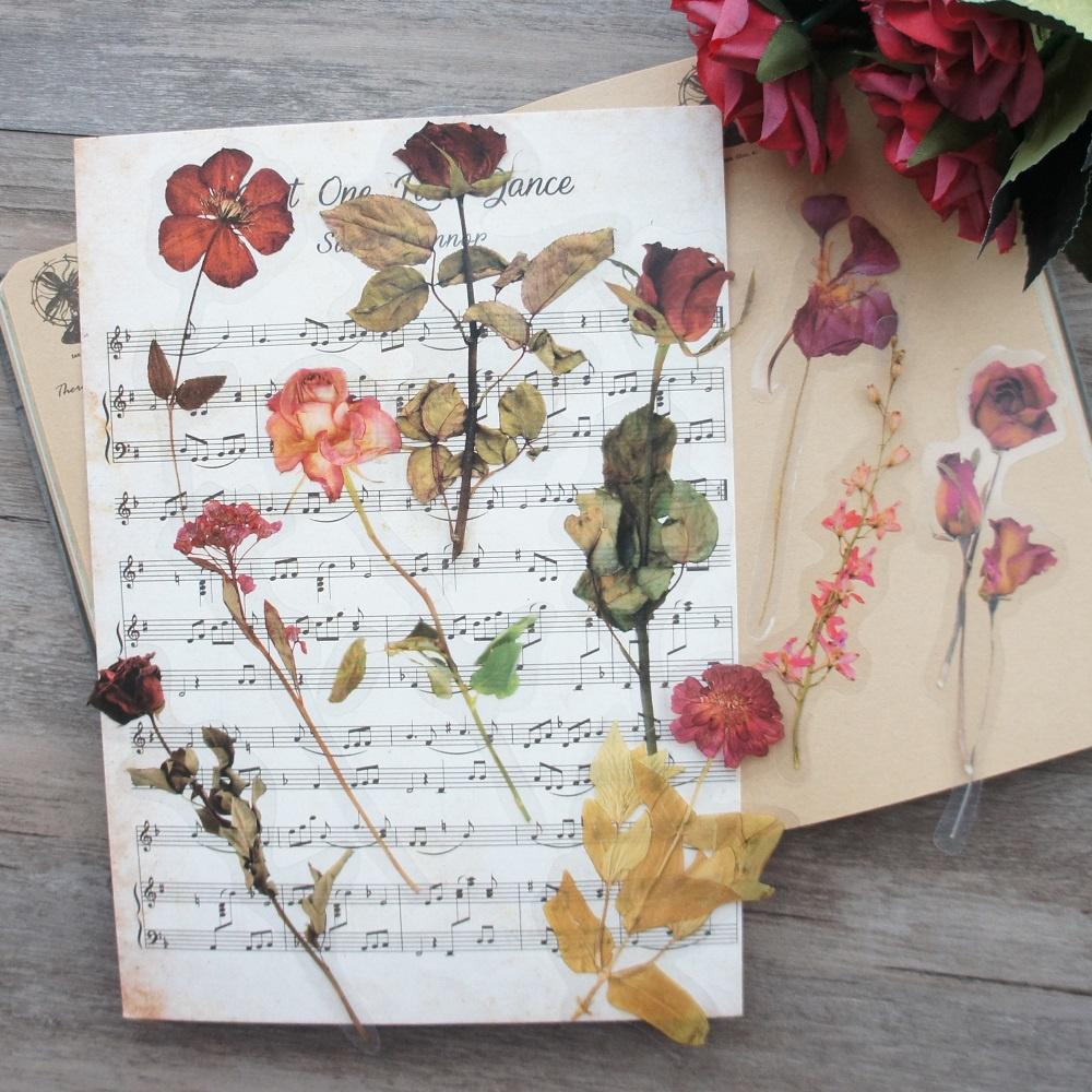 10pcs Big Size Dry Rose Flower Specimen Style PVC Transparent Sticker Scrapbooking DIY Gift Decoration Tag
10pcs Big Size Dry Rose Flower Specimen Style PVC Transparent Sticker Scrapbooking DIY Gift Decoration Tag