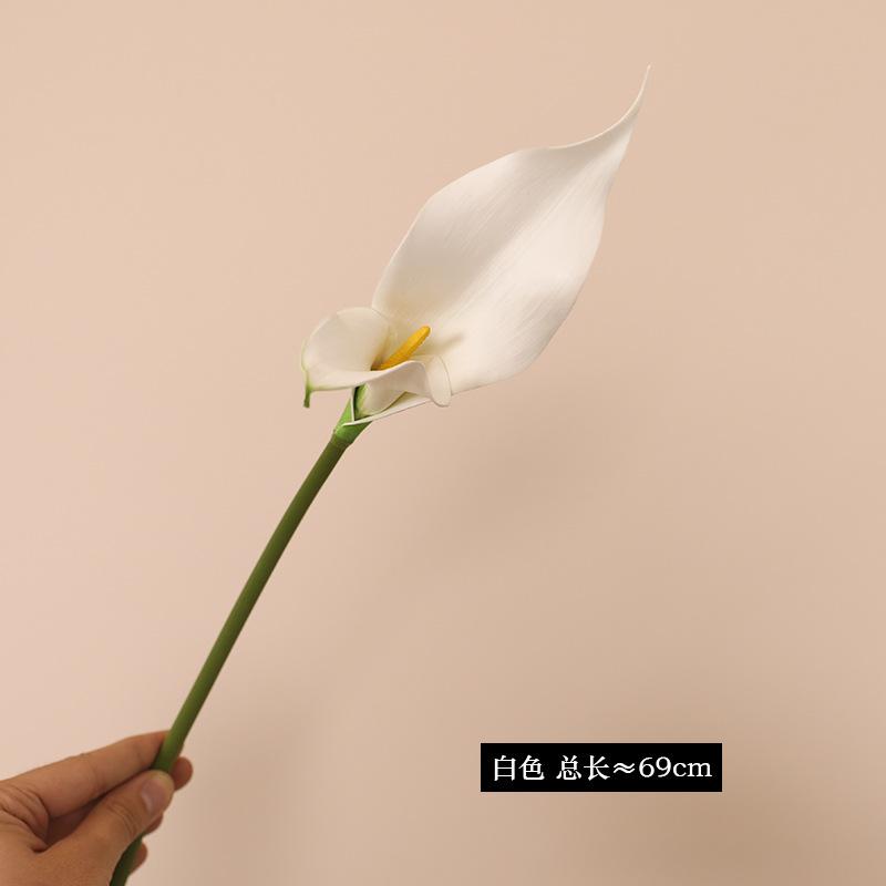 Advanced sense simulation single-branch compound-petaled calla lily, entrance living room decorative floral arrangement fake flower simulation flower белый
Advanced sense simulation single-branch compound-petaled calla lily, entrance living room decorative floral arrangement fake flower simulation flower белый