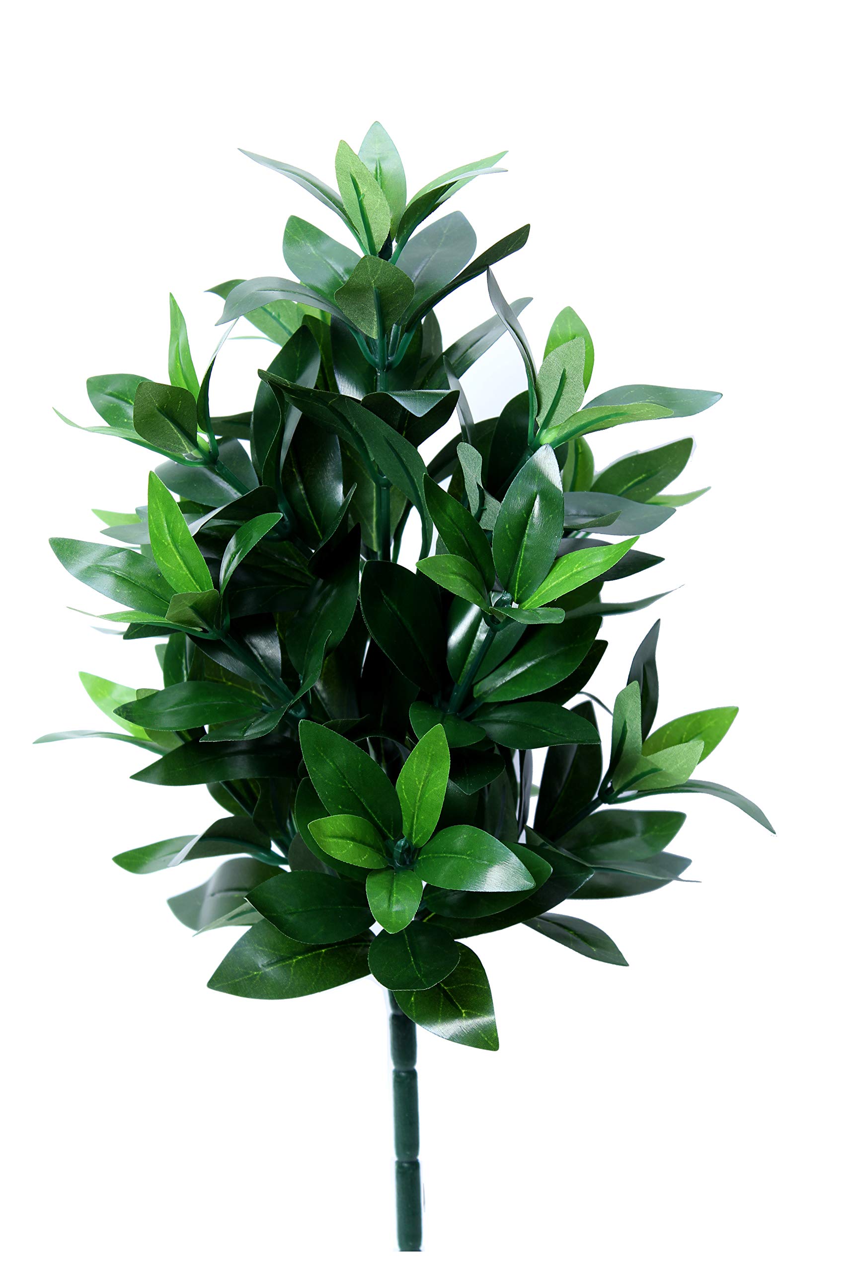 Soka Gakkai Shikimi Artificial Flower, 1 Small (Approx. 40cm), Comes in a Special Box to Protect Its Shape, Perfect for Grave Visits, Long-Lasting,
Soka Gakkai Shikimi Artificial Flower, 1 Small (Approx. 40cm), Comes in a Special Box to Protect Its Shape, Perfect for Grave Visits, Long-Lasting,